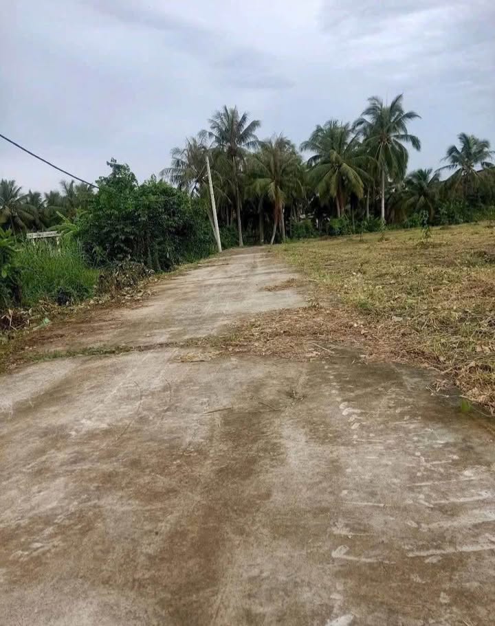 Đất nền Phú An Hòa 619.8m² giá 1.1 tỷ - Bán gấp, thương lượng tốt!