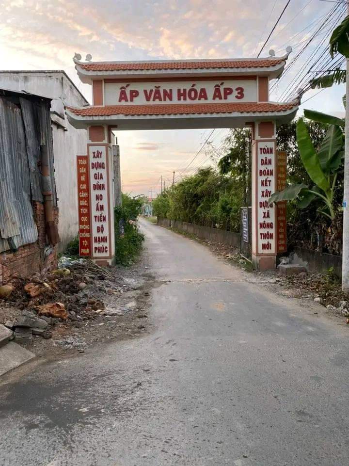 Đất thổ vườn 1100m² xã Tân Ân, Cần Đước - Tiềm năng phát triển cao!