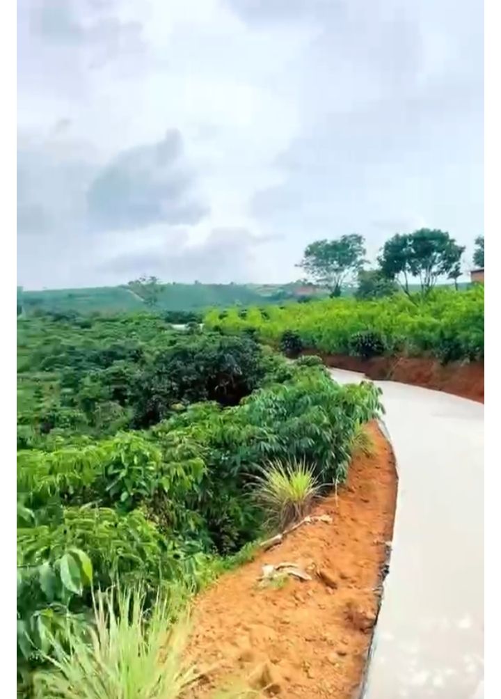 Đất xã Nam Hà Lâm Đồng 1700m² giá 1.35 tỷ - Sổ đỏ chính chủ, mặt tiền lớn!