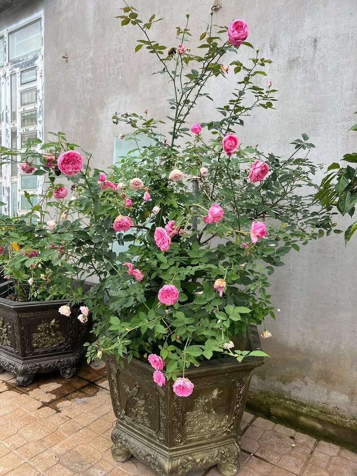 Đất nền chính chủ tại Nam Ban, Lâm Hà 235m² giá 1.65 tỷ - Vị trí thuận lợi gần trường học!