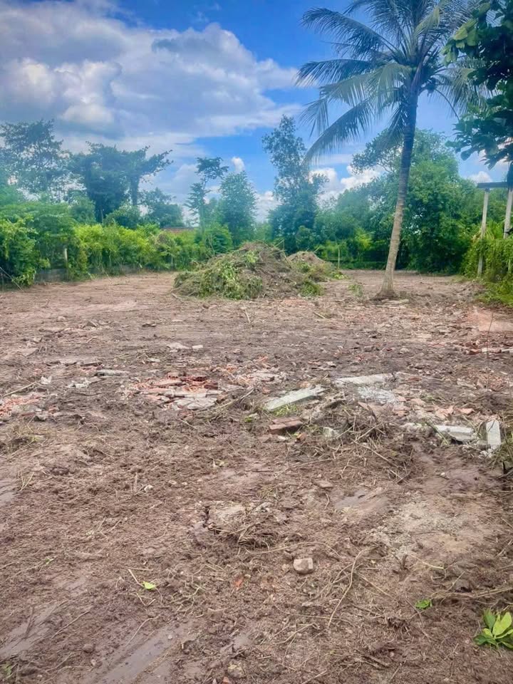 Đất mặt tiền Tỉnh lộ 8, Củ Chi 972m² giá chỉ 7.9 tỷ - Đầu tư sinh lời ngay!