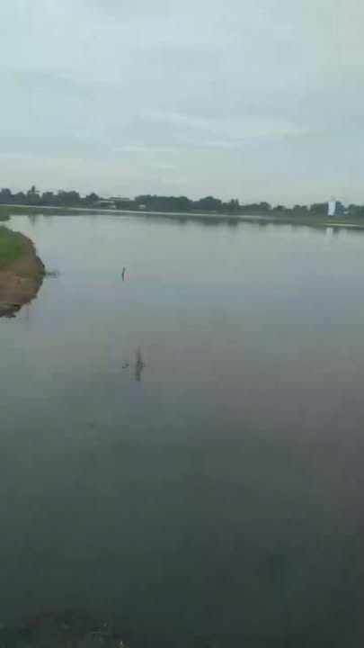 Đất nền 5800m² Tân Thạnh Đông, Củ Chi - Góc 2 mặt tiền, giá thương lượng