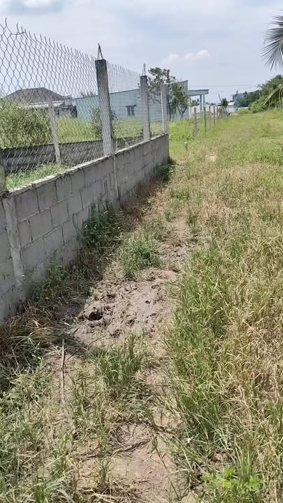 Đất vườn Củ Chi 210m² giá 550 triệu - Cơ hội đầu tư hấp dẫn!