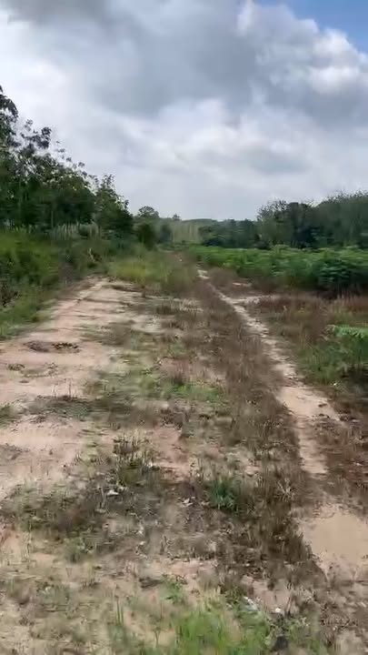 Đất nền Minh Thạnh, Dầu Tiếng 10.000m² giá 1.75 tỷ - Sổ đỏ chính chủ