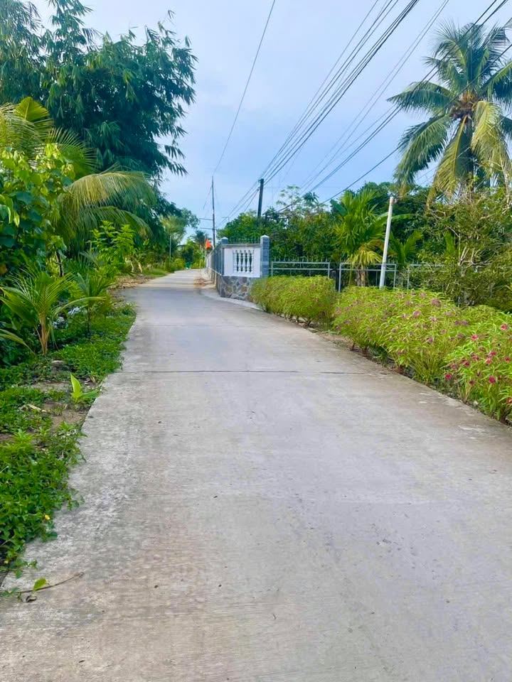 Đất vườn nghỉ dưỡng 3100m² tại Ấp Phú Thành, Hậu Giang - Giá chỉ 2.25 tỷ!