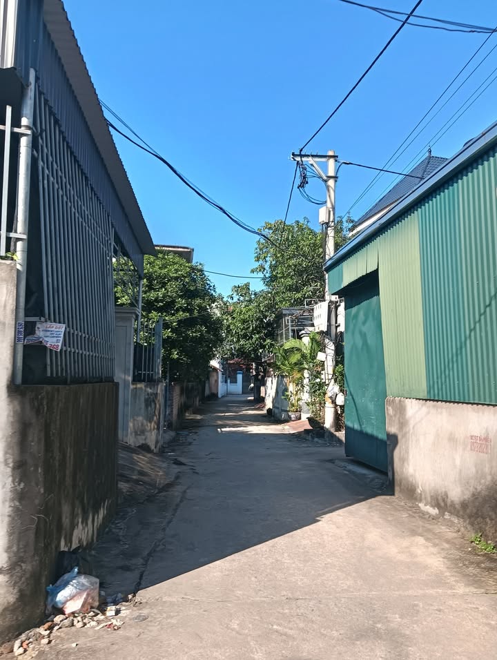 Đất nền Thư Phú, Thường Tín 64,2m² giá 3,15 tỷ - Mặt tiền 5m, ô tô đỗ cửa!