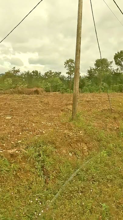 Đất nền Ea M'Droh Cư M'gar 3570m² giá 555 triệu - Cơ hội đầu tư tuyệt vời!