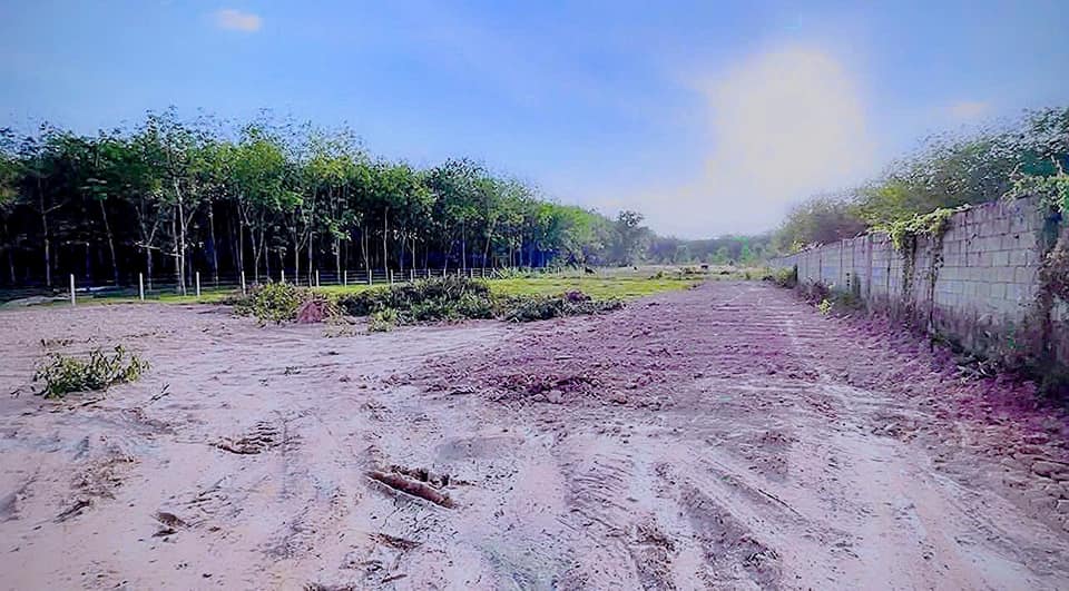 Đất nền Củ Chi 2410m² giá 8 tỷ - Vị trí đẹp, pháp lý rõ ràng!