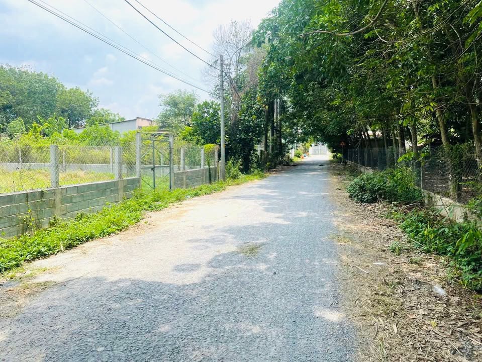 Đất nền An Phú Củ Chi 773m² - Phù hợp xây nhà vườn, kho xưởng