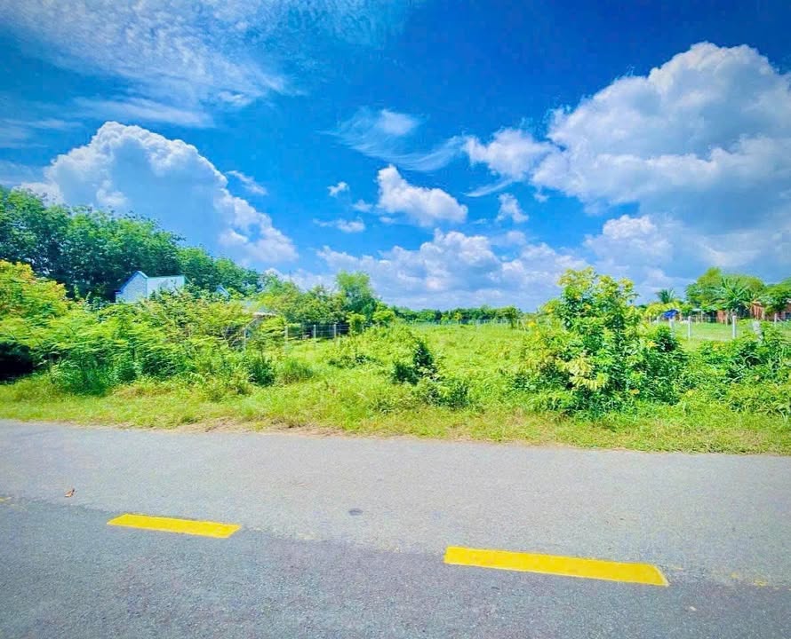 Đất Nền Nhuận Đức Củ Chi 130m² giá 1.55 tỷ - Phù hợp an cư và đầu tư!