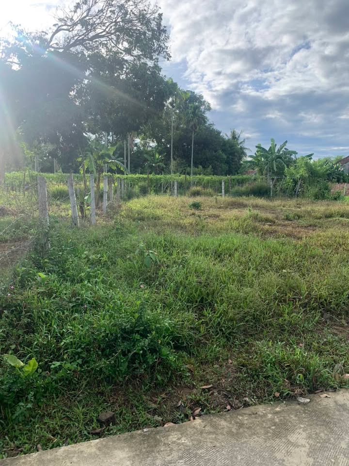 Đất nền An Phú Quảng Ngãi 130m² giá 300 triệu - Cơ hội đầu tư hấp dẫn!