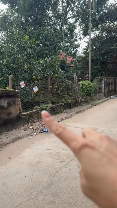 Đất nền Vân Phúc, Phúc Thọ 110m² - Vị trí đắc địa, đầu tư sinh lời!