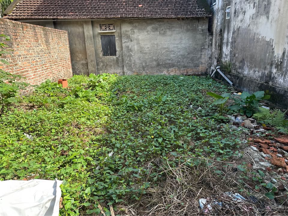 Đất Hiệp Thuận 78m² giá 2 tỷ - Sổ đỏ chính chủ, mặt tiền rộng