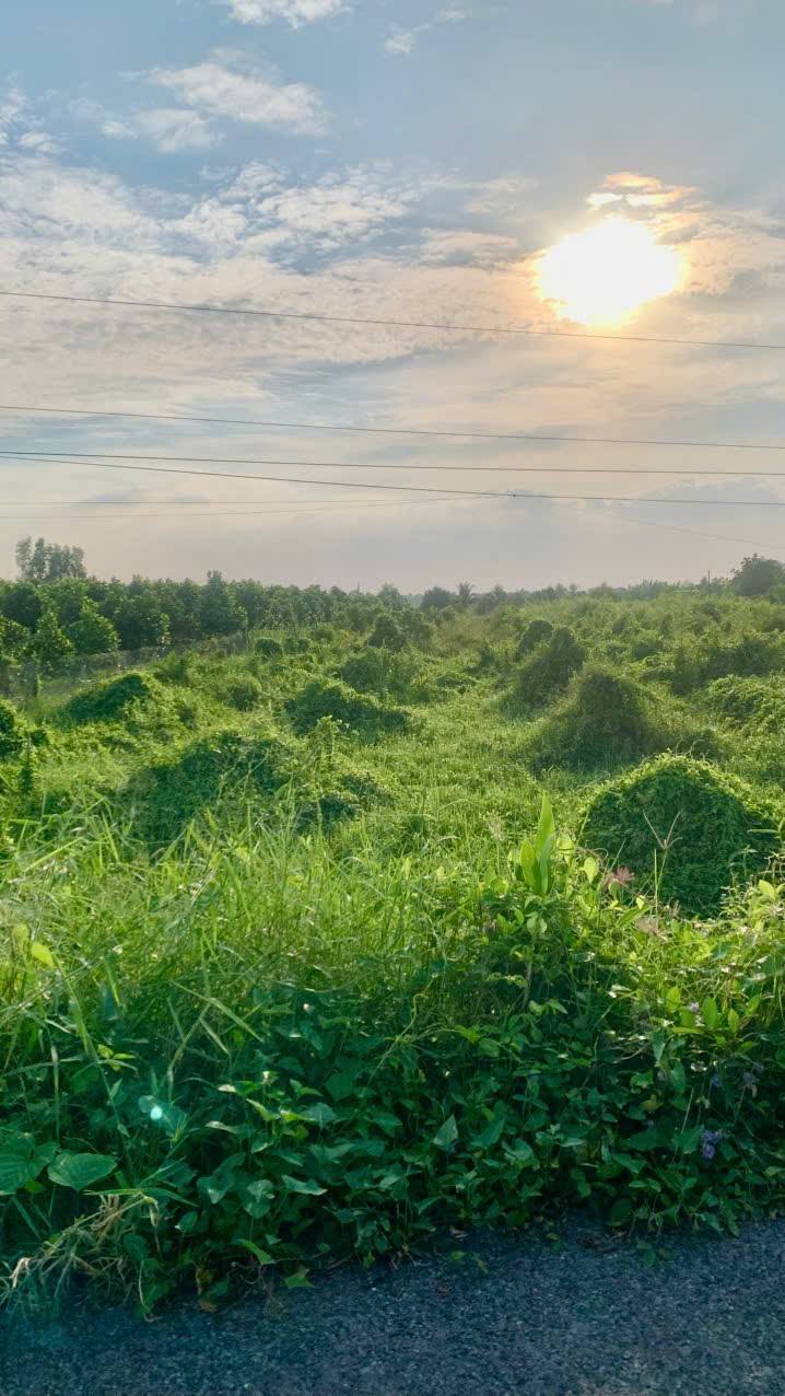 Đất mặt tiền xã Nhơn Phú, Vĩnh Long 1927m² giá 640 triệu - Đầu tư thuận lợi!