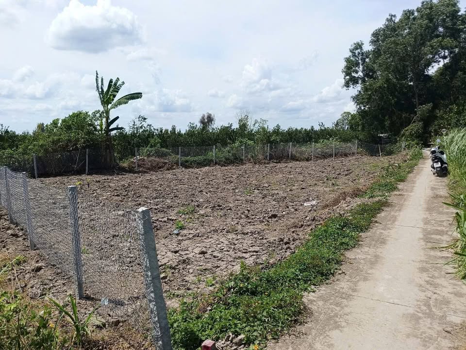 Đất nền Mỹ Thạnh Trung 211m² giá 155 triệu - Sổ hồng chính chủ sẵn sàng chuyển nhượng!