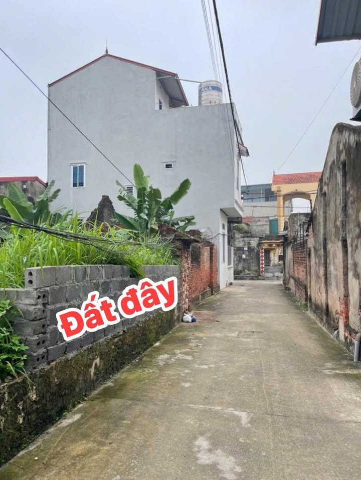 Đất An Lãng - Văn Tự - Thường Tín 66,5m² giá 2.1 tỷ - Ô tô vào tận nơi!