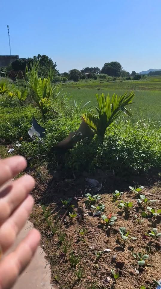 Đất đấu giá Tân Yên 244m² giá 2 tỷ - Kinh doanh mọi lĩnh vực!