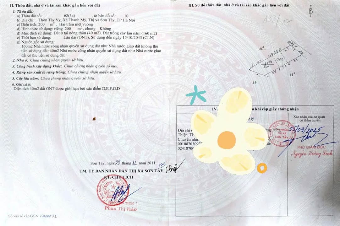 Đất thổ cư 200m² tại Tây Vị, Thanh Mỹ - Ô tô vào tận nơi chỉ 6.5 triệu/m²!