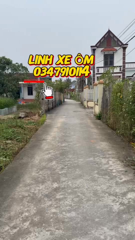 Đất nền Cốc Liễn, Minh Tân, Kiến Thụy 183m² - Giá thỏa thuận hấp dẫn!