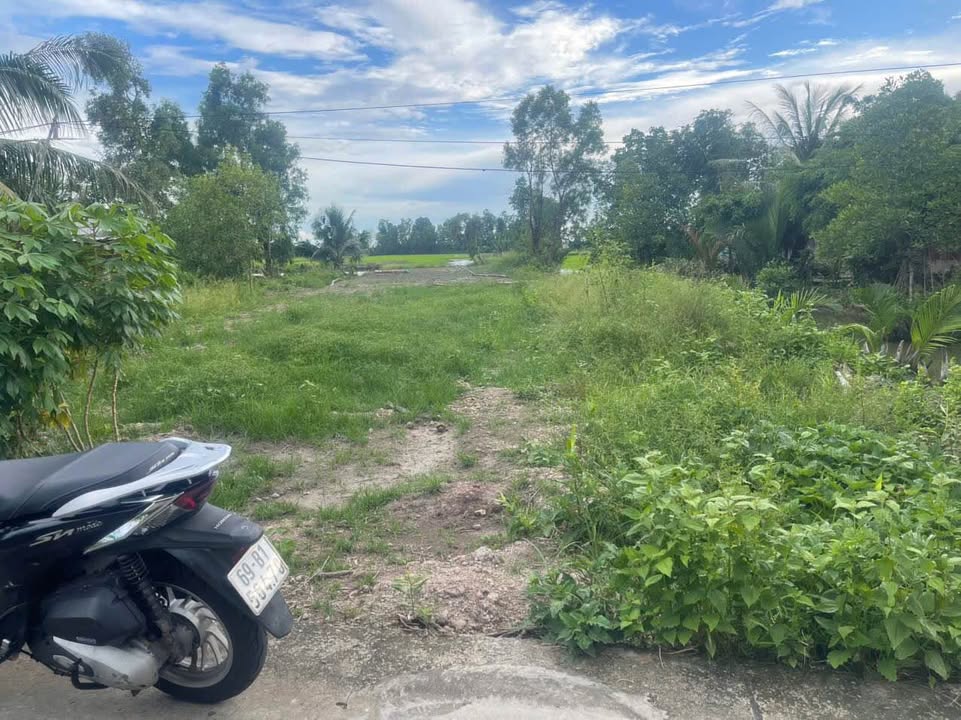 Đất nền thổ cư 100m² phường Lý Văn Lâm, Cà Mau - Giá chỉ 580 triệu VND, thương lượng nhẹ!