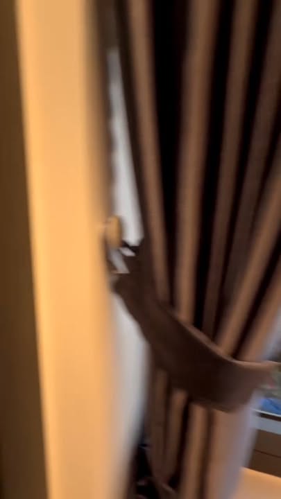 Căn hộ 1 phòng ngủ Trần Thánh Tông, Sơn Trà - Chỉ 7.5 triệu/tháng!