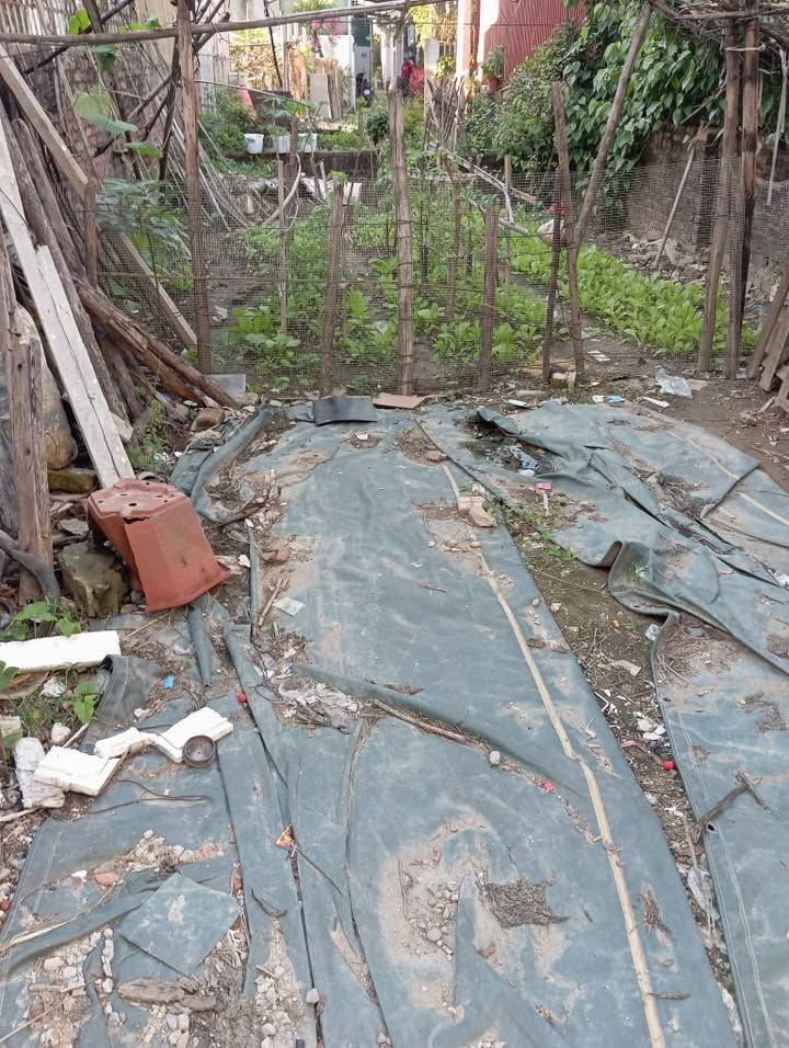 Đất Phúc Lợi Long Biên 65m² giá 7-8 tỷ - Sổ đỏ chính chủ, ô tô vào tận nơi!