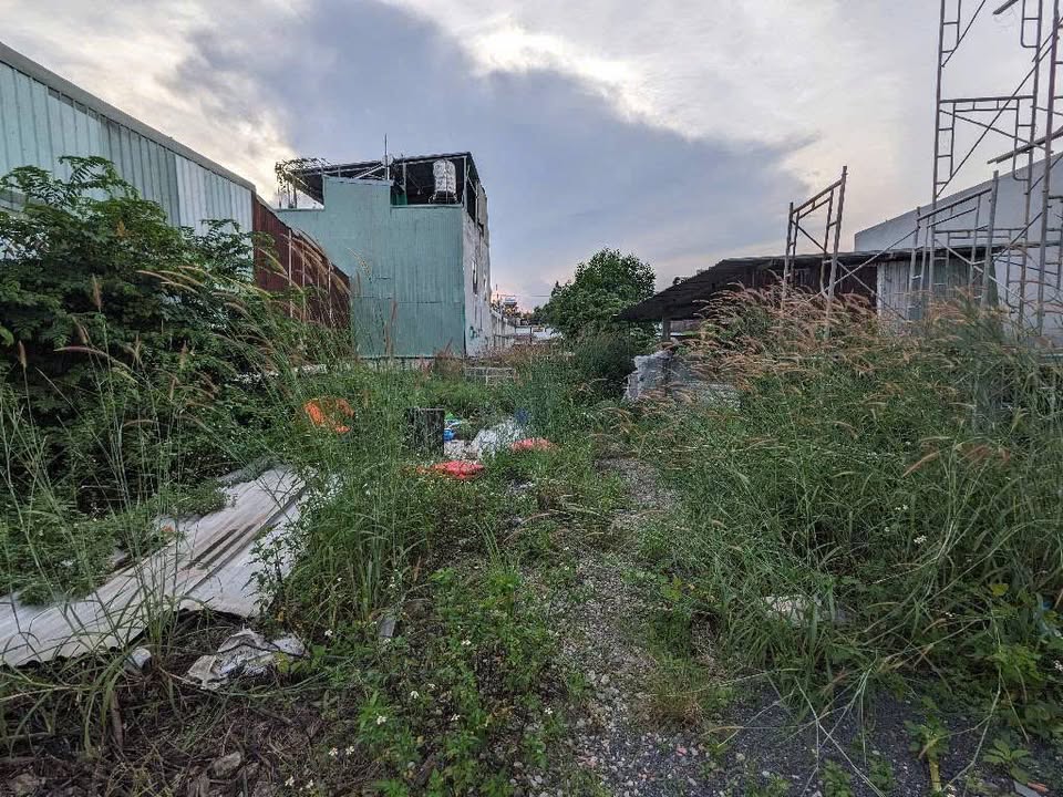 Lô đất thổ cư 787m² đường Nguyễn Công Hoan Dĩ An - Đầu tư sinh lời ngay!