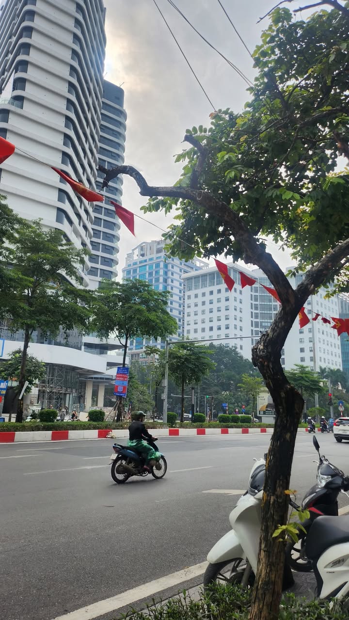 Nhà phố Liễu Giai, Ba Đình 73m² giá 26.9 tỷ - Vị trí đắc địa gần Hồ Tây!