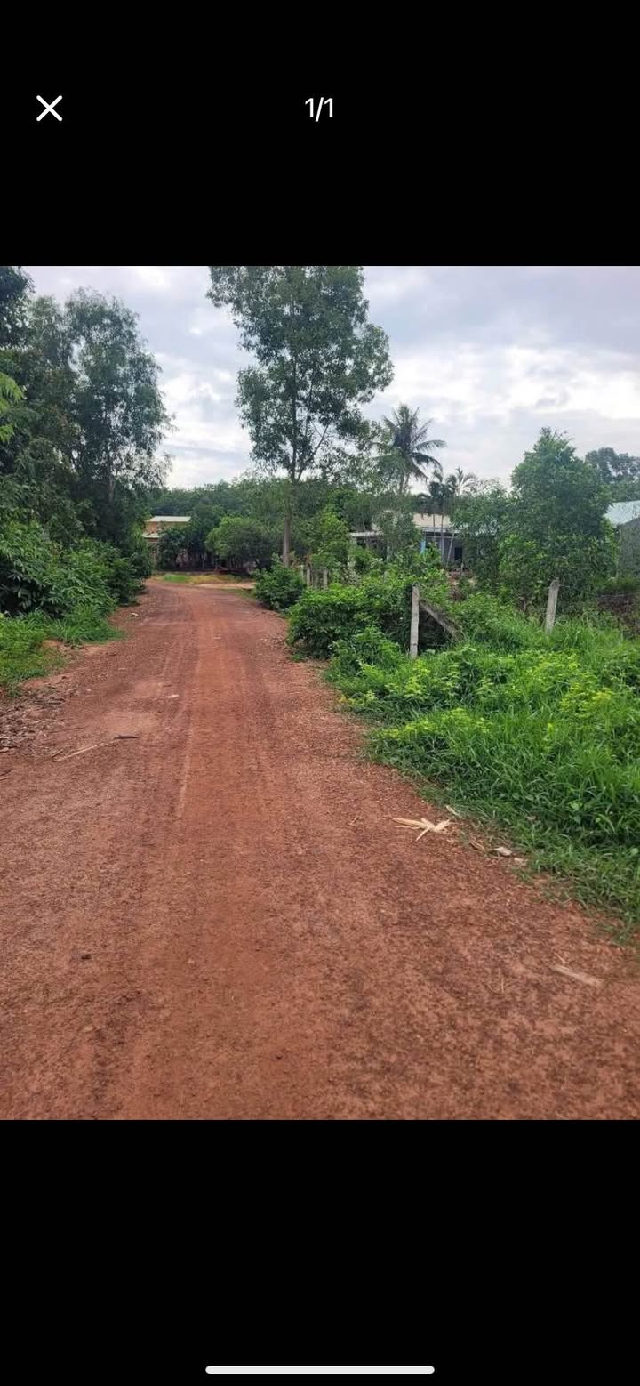 Đất thổ cư 3000m² mặt tiền đường 38m xã Phước Vinh, Châu Thành Tây Ninh - Giá chỉ 1.4 tỷ!