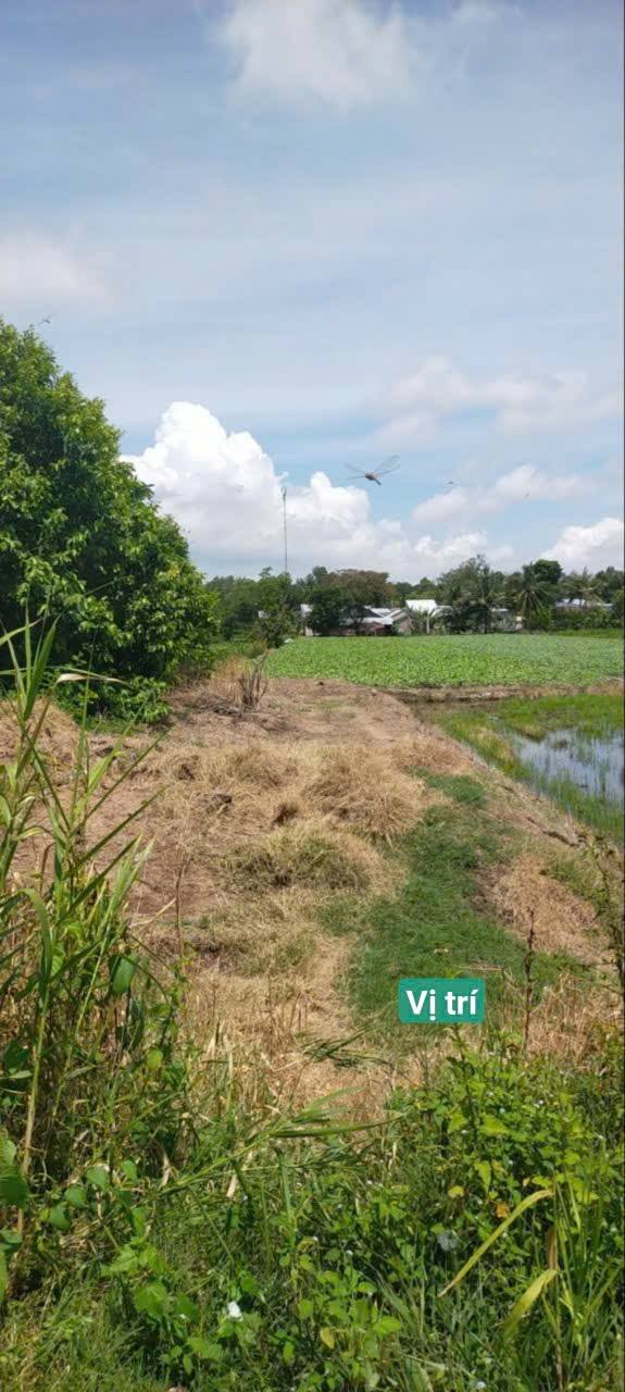 Đất mặt tiền kênh Quảng Thọ, Rạch Giá 6600m² giá 2.171 tỷ - Cần bán gấp!