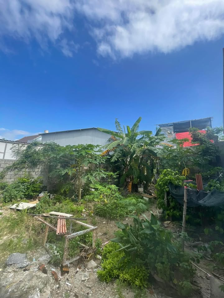 Đất nền Cẩm Lệ Đà Nẵng 123m² giá 2.8 tỷ - Cơ hội đầu tư hiếm có!