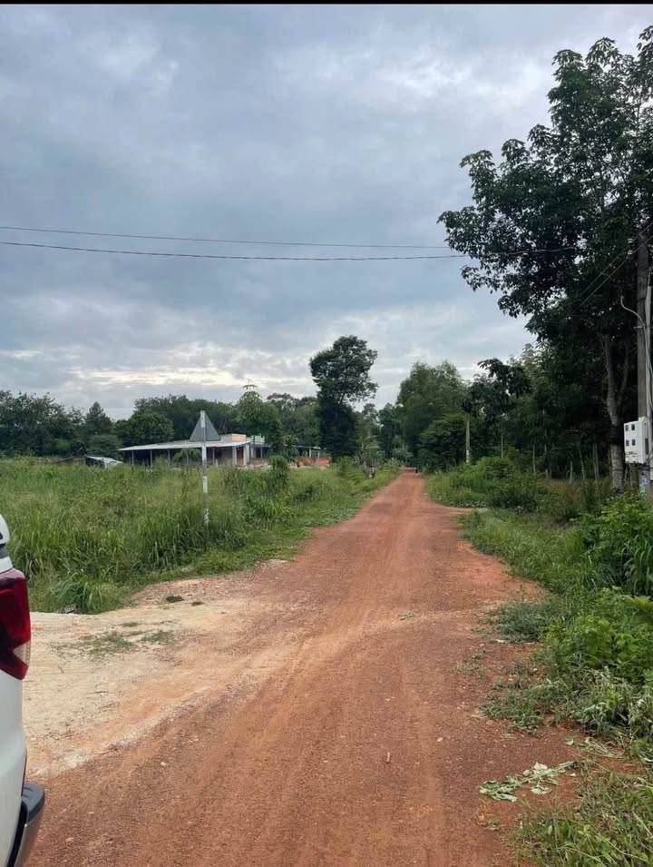 Đất nền Lộc Ninh 1001m² giá 370 triệu - View suối thoáng mát lý tưởng!