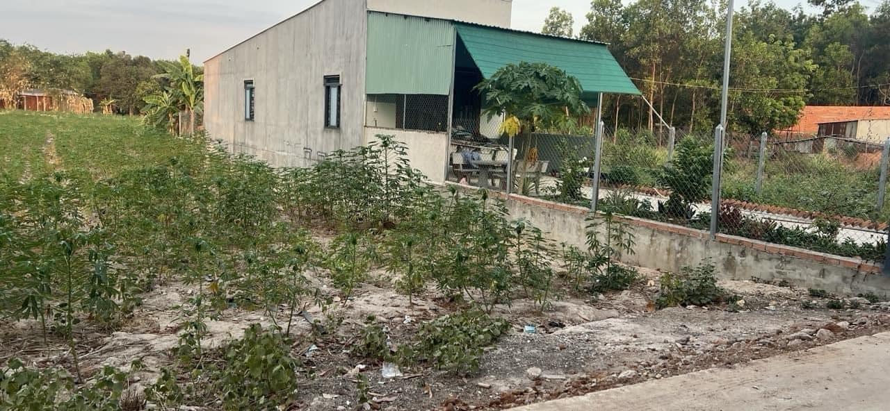 Đất thổ cư 257m² Trừ Văn Thố, Bàu Bàng - Vị trí đẹp gần khu công nghiệp