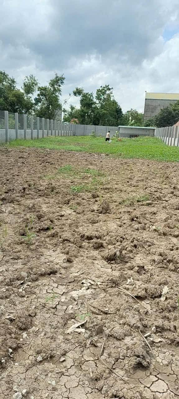 Đất vườn mặt tiền đường nhựa Gò Công 740m² giá 2.96 tỷ - Chính chủ thương lượng