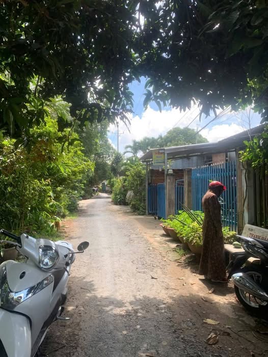 Nhà Cấp 4 Mặt Tiền Đường Cặp Rạch Gòi Lớn, Mỹ Thới 137.8m² - Giá chỉ 1.6 tỷ!