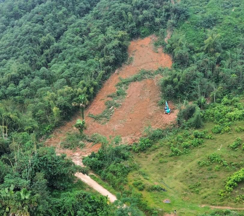 Đất rừng sản xuất 1ha tại Sơn Lương, Phú Thọ - Giá thỏa thuận, sổ đỏ chính chủ!