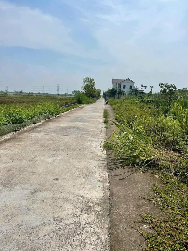 Đất đấu giá Thái Giang, Thái Thụy 128m² giá 700 triệu - Pháp lý rõ ràng, sẵn sàng sang tên!