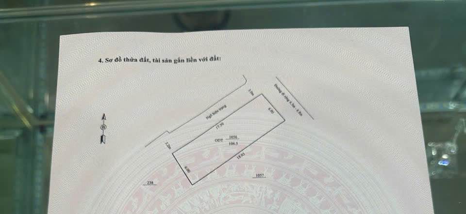 Đất nền góc đẹp đường Phù Lưu, phường Đông Quang, 106m² chỉ với 3 tỷ - Tiềm năng đầu tư cao!