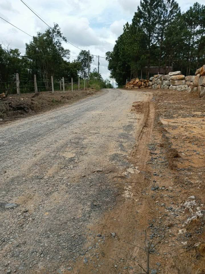 Đất nền 1000m² đường Trương Định Lộc Châu - Giá chỉ 1.5 tỷ, đầu tư sinh lời!