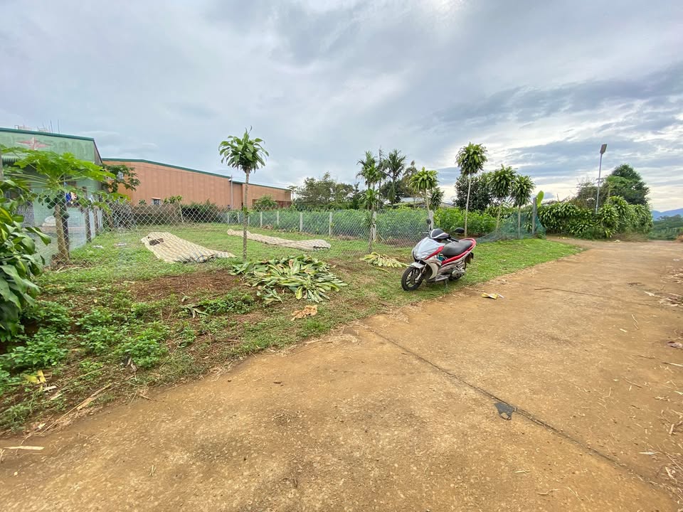 Đất thổ cư 270m² đường Lê Phụng Hiểu, Bảo Lộc chỉ 1.85 tỷ - Đầu tư tiềm năng!