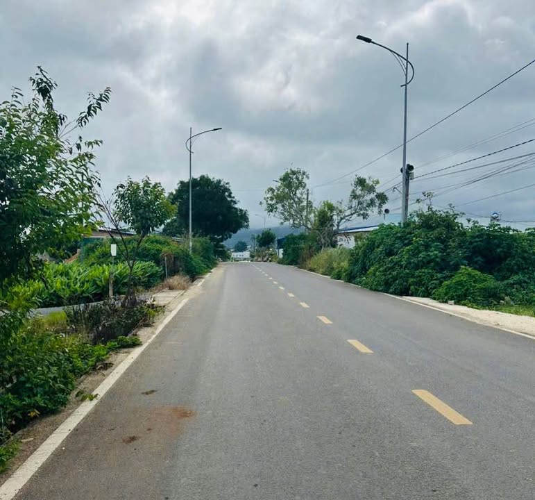 Đất mặt tiền nhựa Phú Trung 1600m² giá 9 tỷ - Đầu tư sinh lời lý tưởng!