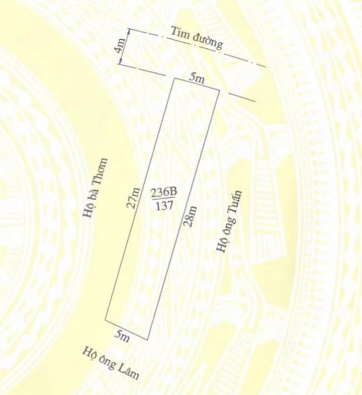 Đất nền mặt đường Tràng Cát, 137m² giá 40 triệu - Cơ hội đầu tư tuyệt vời!