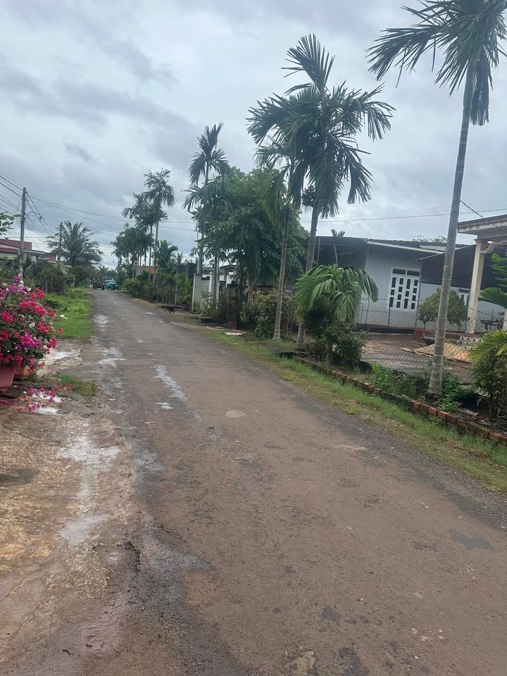 Đất thổ cư Quảng Phú Cư M'gar 140m² giá 1.3 tỷ - Cơ hội đầu tư tuyệt vời!