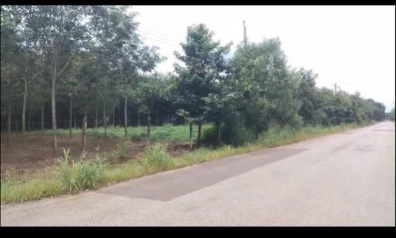 Đất SKC 20.000m² Mặt Tiền Đường DH Phú Giáo, Bình Dương - Cơ Hội Đầu Tư Sinh Lời!