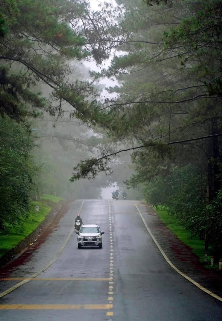 FrontHouse mặt tiền Lê Thánh Tôn 240m² giá thỏa thuận - Vị trí kinh doanh đắc địa!