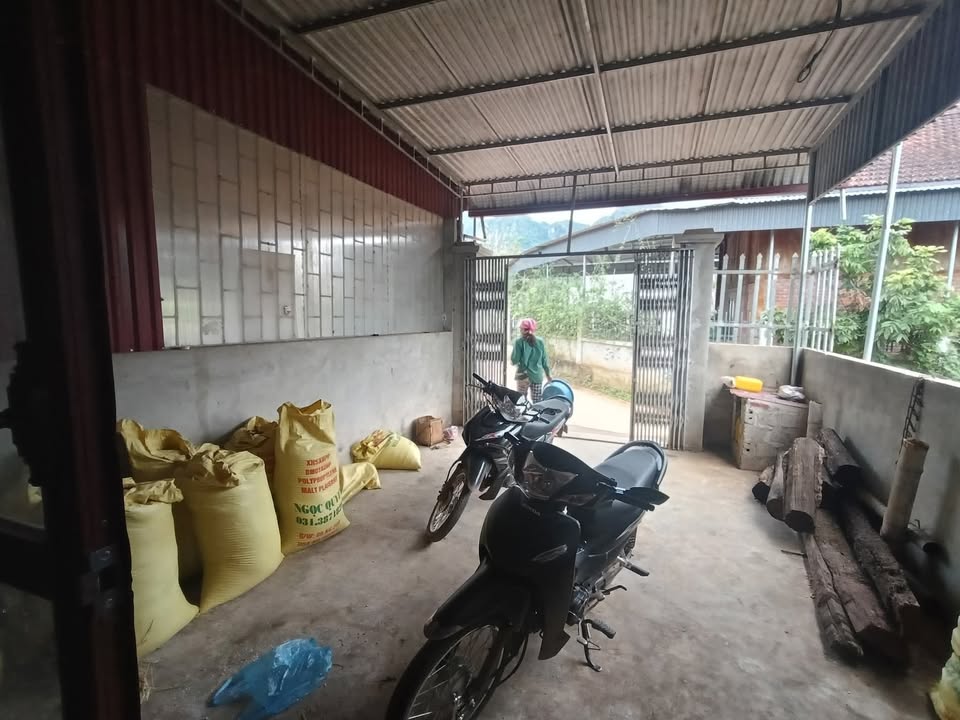 Đất nền Mộc Châu 128m² giá chỉ 1 tỷ - Cơ hội đầu tư tuyệt vời!