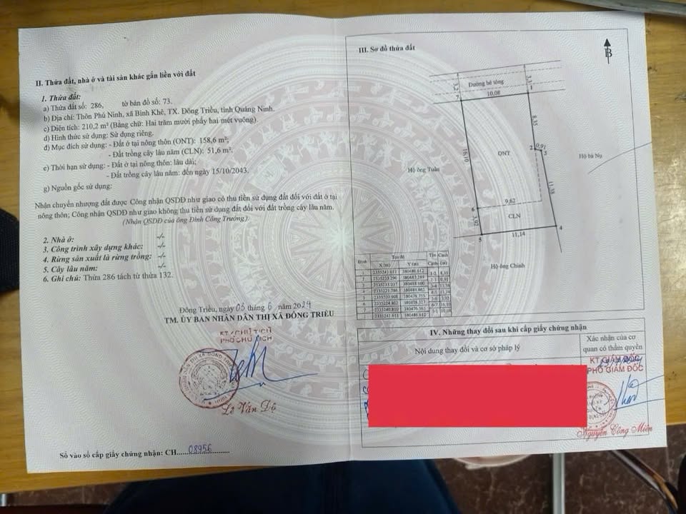 Đất nền Phú Ninh, Bình Khê 123m² giá chỉ 300 triệu - Cơ hội đầu tư tuyệt vời!