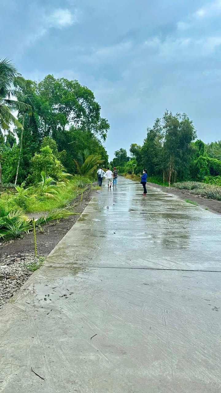 Đất nền Minh Hòa Châu Thành 1000m² giá 530 triệu - Cơ hội vàng đầu tư!