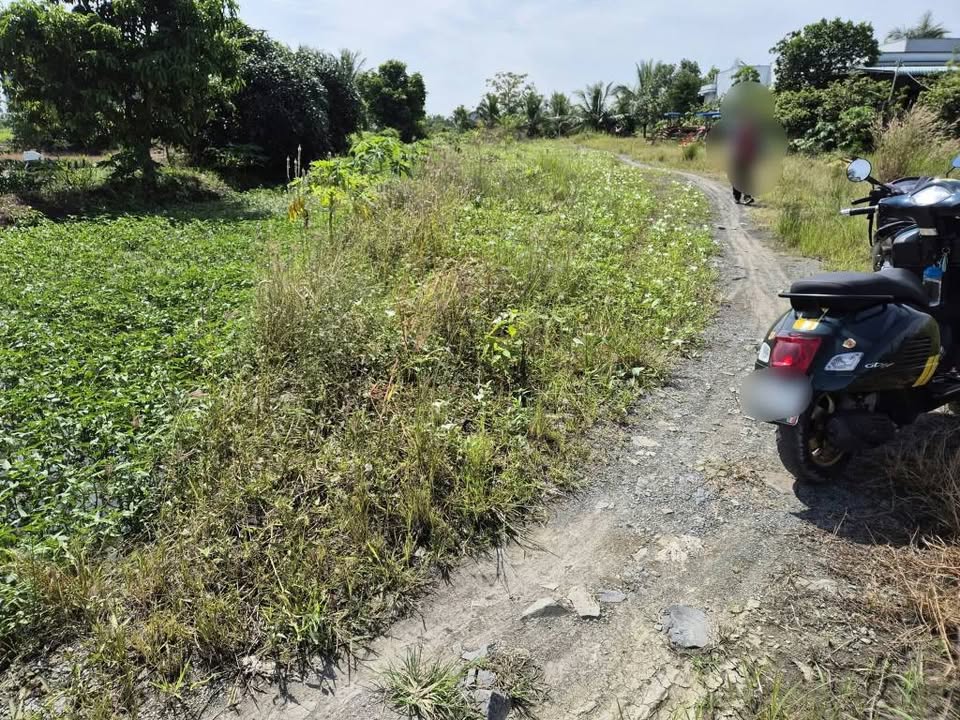 Đất thổ cư xã Phước Đông, Cần Đước - 120m² giá 380 triệu - Tiềm năng đầu tư cao