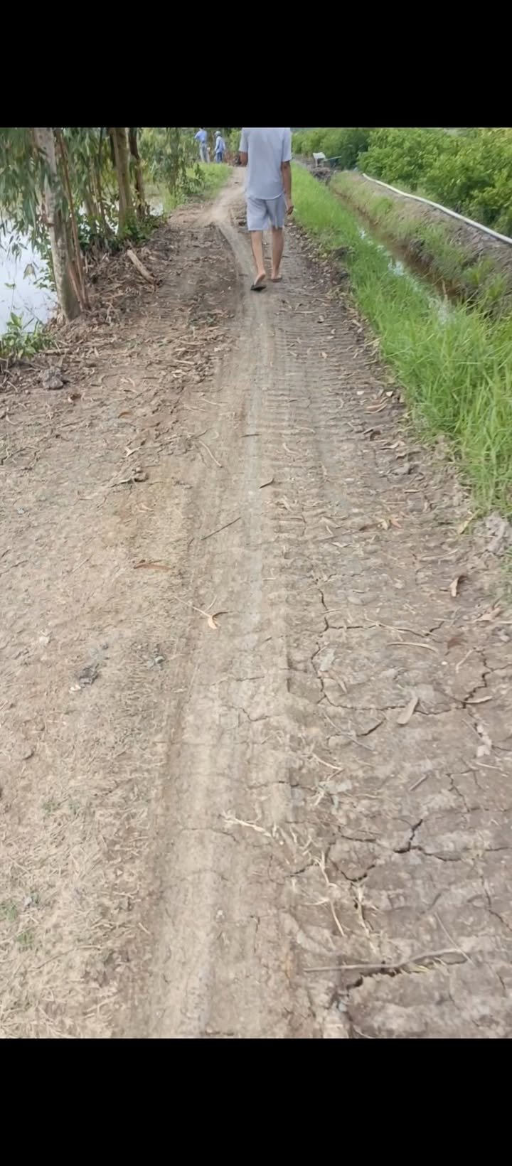 Đất nền Hòa Khánh Nam 1000m² chỉ 260 triệu - Cơ hội đầu tư tuyệt vời!